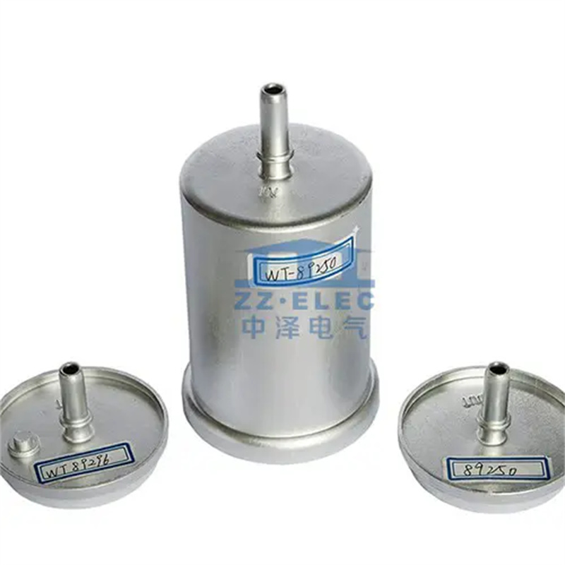 Peugeot 307 Fuel Filter Cover & Housing 2